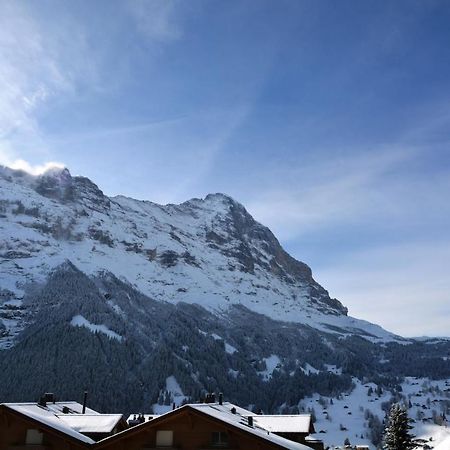 Apartment Baerhag - Griwa Rent Ag Grindelwald Ngoại thất bức ảnh
